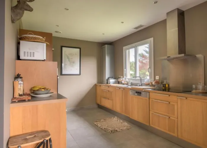 La Pignada 33170 Villa *