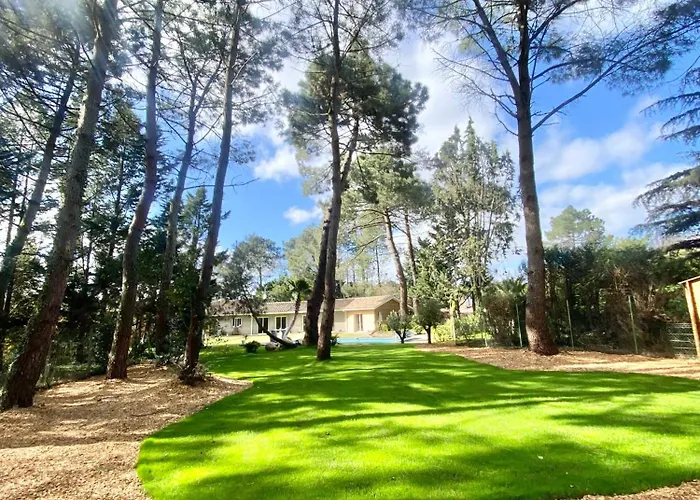 Villa La Pignada 33170 Gradignan